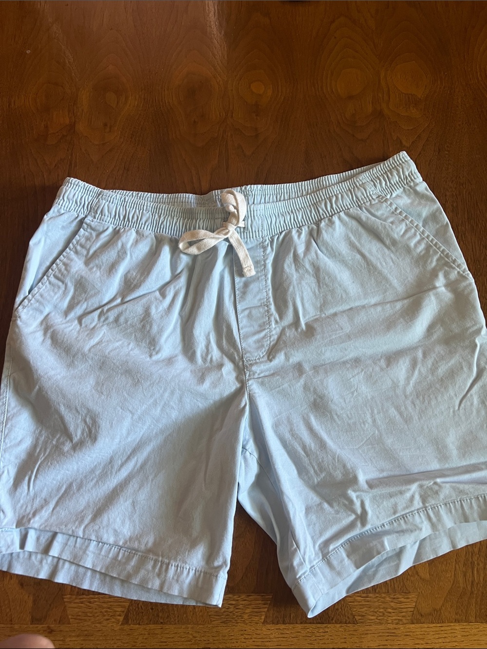 Goodfellow & Co Light Blue Men’s Elastic Drawstring Shorts